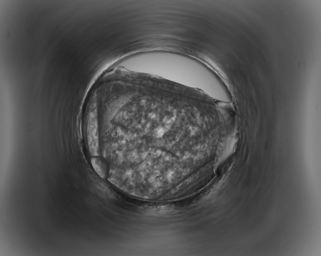 X0000086770891200705041506
