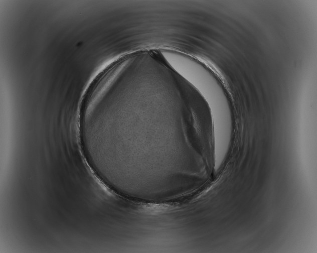 X0000086770894200705041506