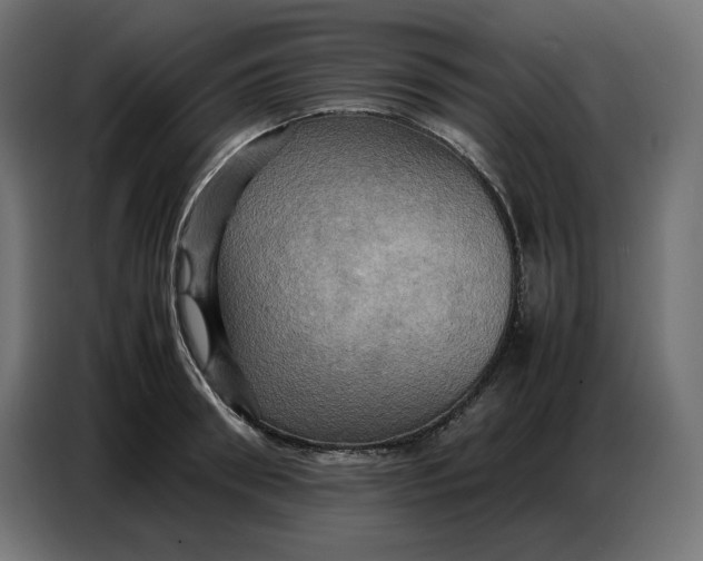X0000086770898200705041505