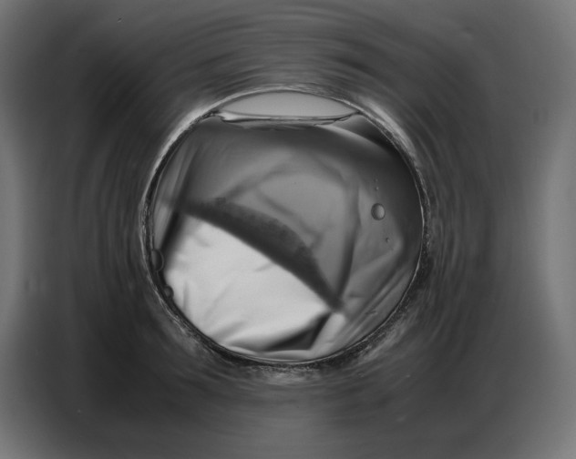 X0000086770899200705041505