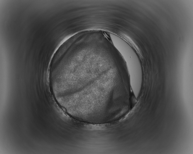 X0000086770900200705041505
