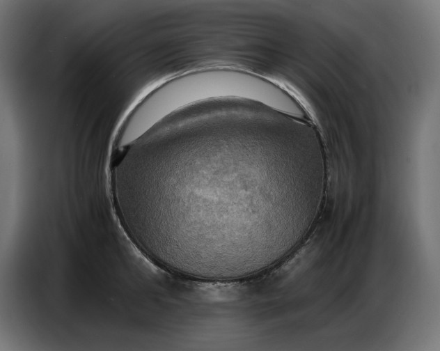 X0000086770902200705041505