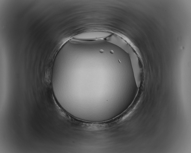 X0000086770905200705041505