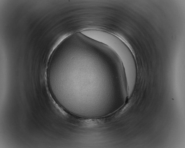 X0000086770906200705041505