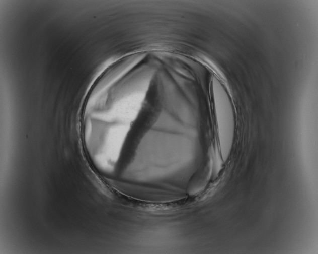 X0000086770907200705041505