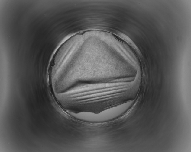 X0000086770908200705041505