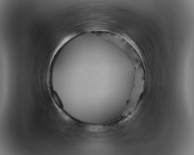 X0000086770909200705041505