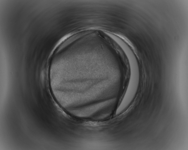 X0000086770910200705041505