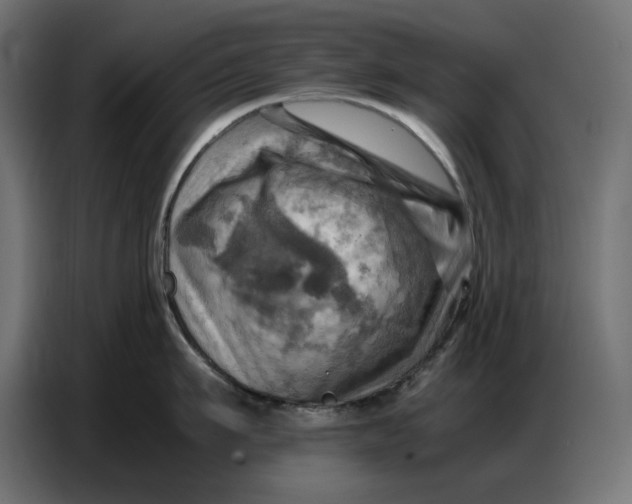 X0000086770911200705041505