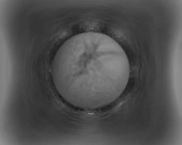 X0000086770913200705041505