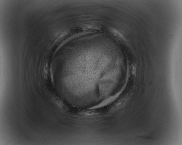 X0000086770915200705041505