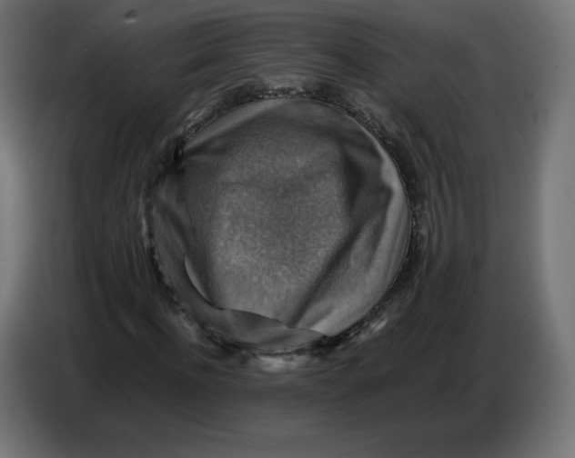 X0000086770916200705041505