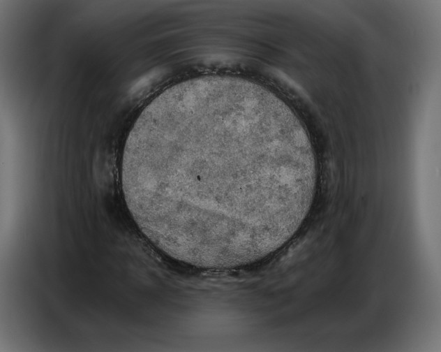 X0000086770918200705041505