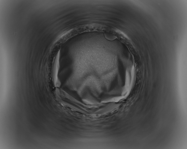 X0000086770919200705041505