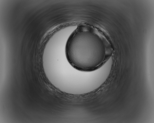 X0000086770920200705041505