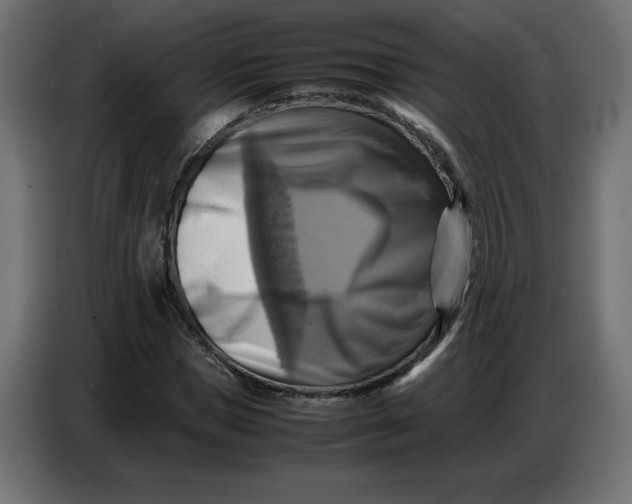 X0000086770921200705041505