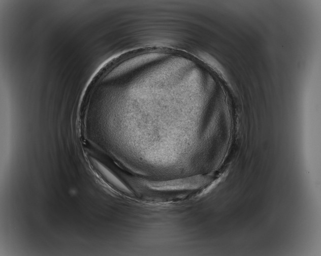 X0000086770924200705041505