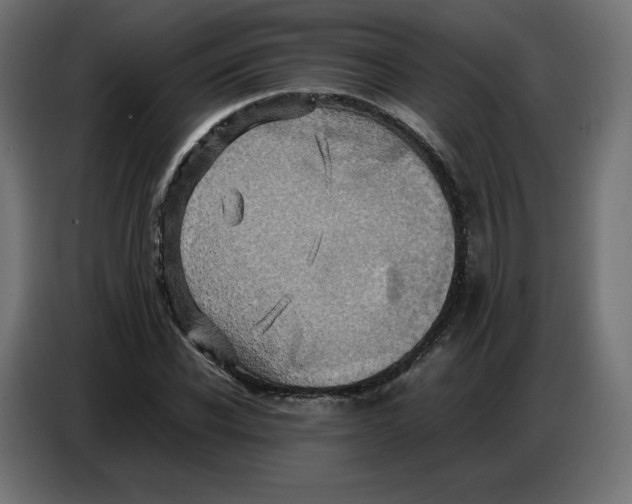 X0000086770926200705041505