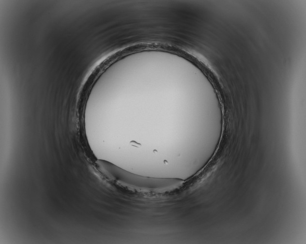 X0000086770927200705041505