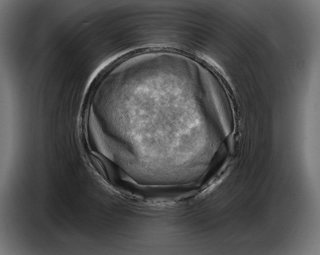 X0000086770928200705041505