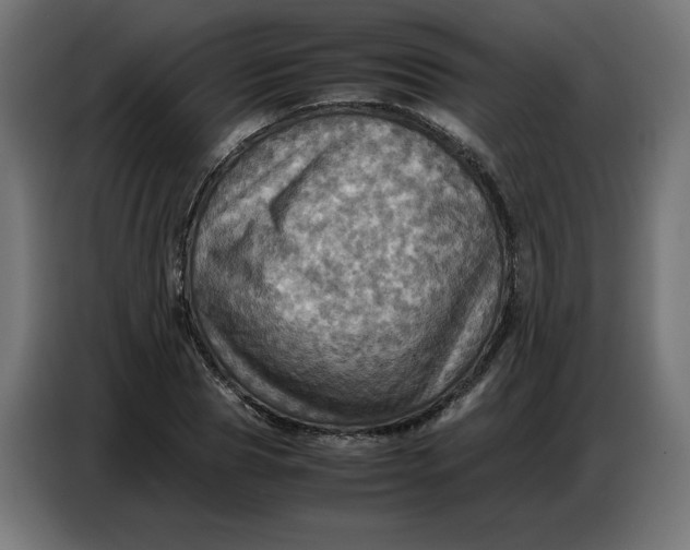 X0000086770929200705041505