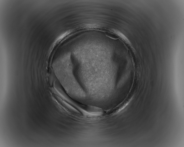 X0000086770930200705041505