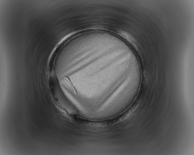 X0000086770931200705041505