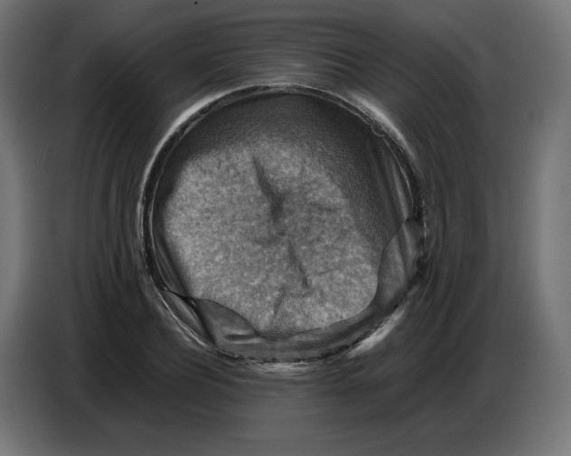 X0000086770932200705041505