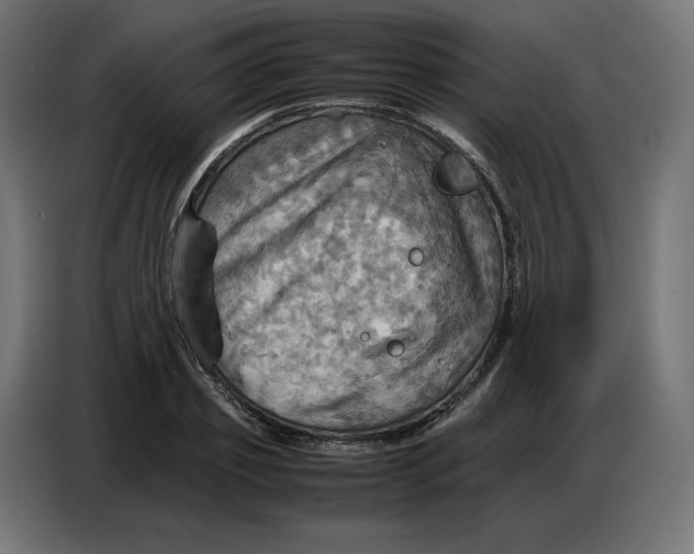 X0000086770933200705041505