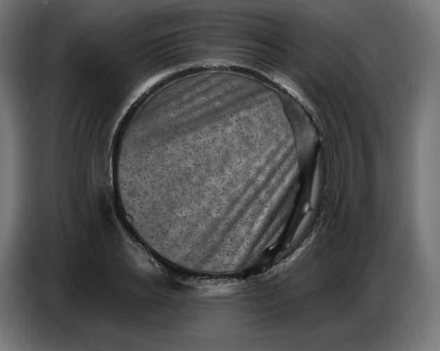 X0000086770934200705041505