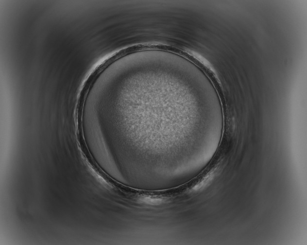 X0000086770935200705041505
