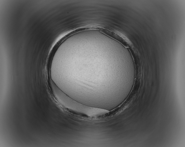 X0000086770936200705041505