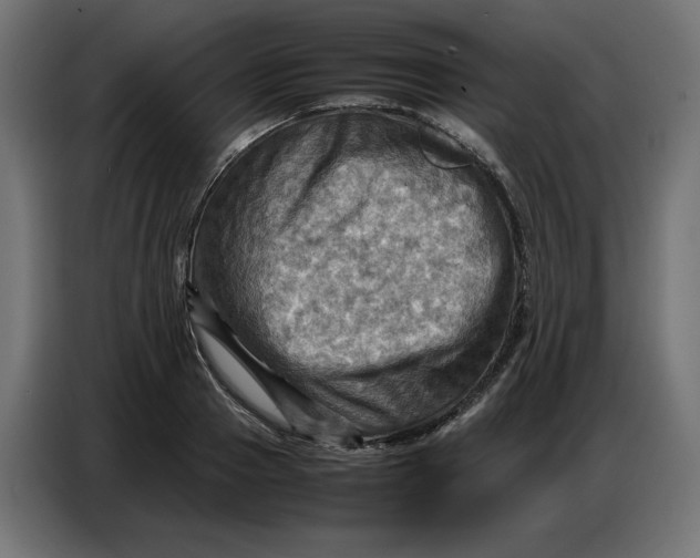 X0000086770937200705041505