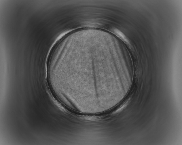 X0000086770940200705041505