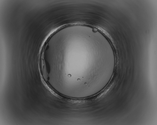 X0000086770941200705041505