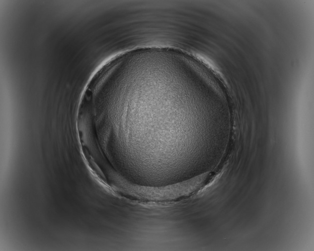 X0000086770942200705041505