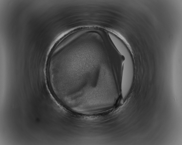 X0000086770943200705041505
