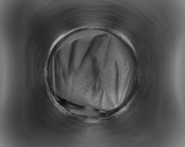 X0000086770944200705041505