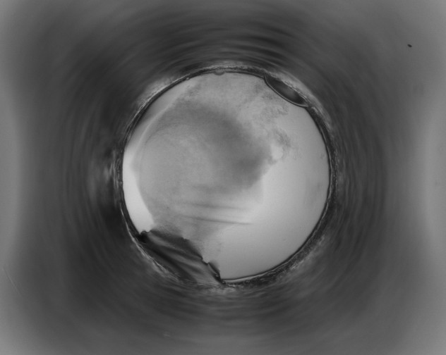 X0000086770945200705041505