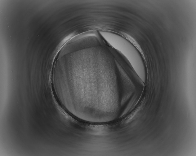 X0000086770946200705041505