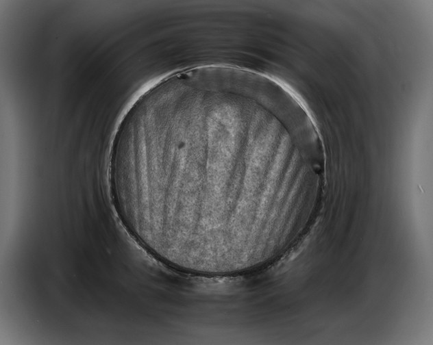 X0000086770949200705041505