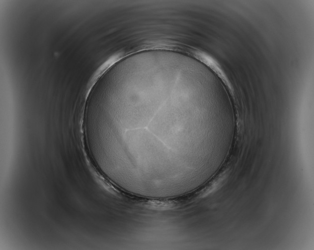 X0000086770954200705041505