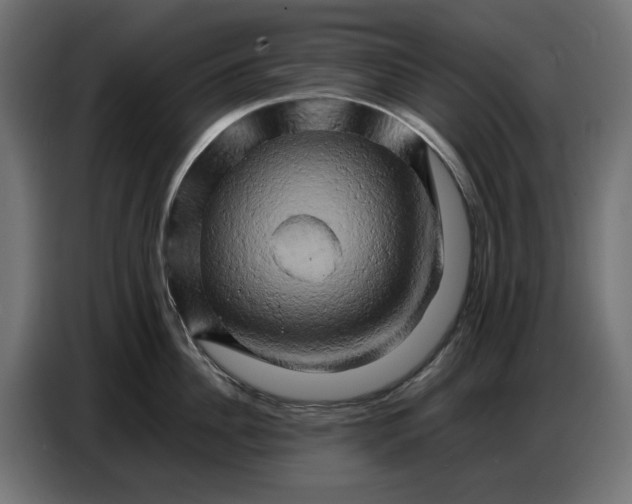 X0000086770956200705041505