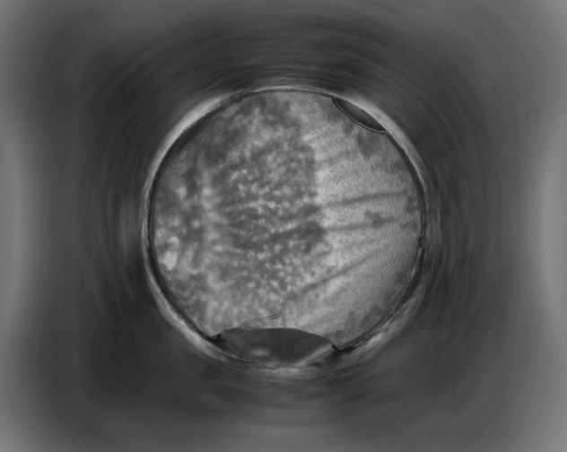 X0000086770957200705041505