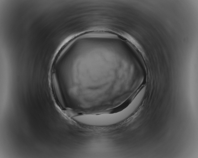 X0000086770958200705041505