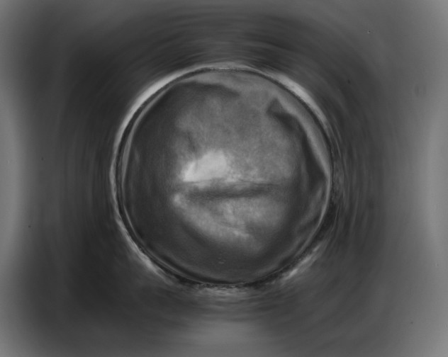 X0000086770959200705041505