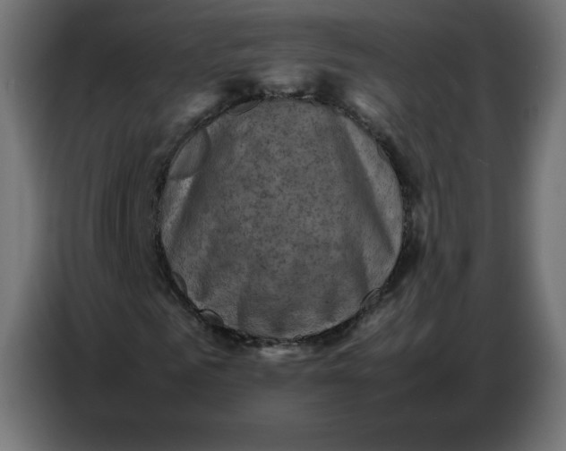 X0000086770961200705041505