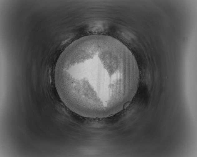 X0000086770962200705041505
