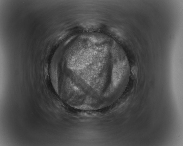 X0000086770963200705041505