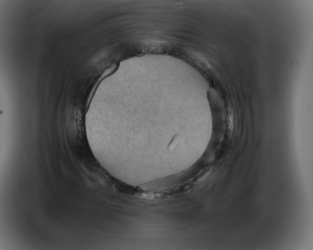 X0000086770964200705041505